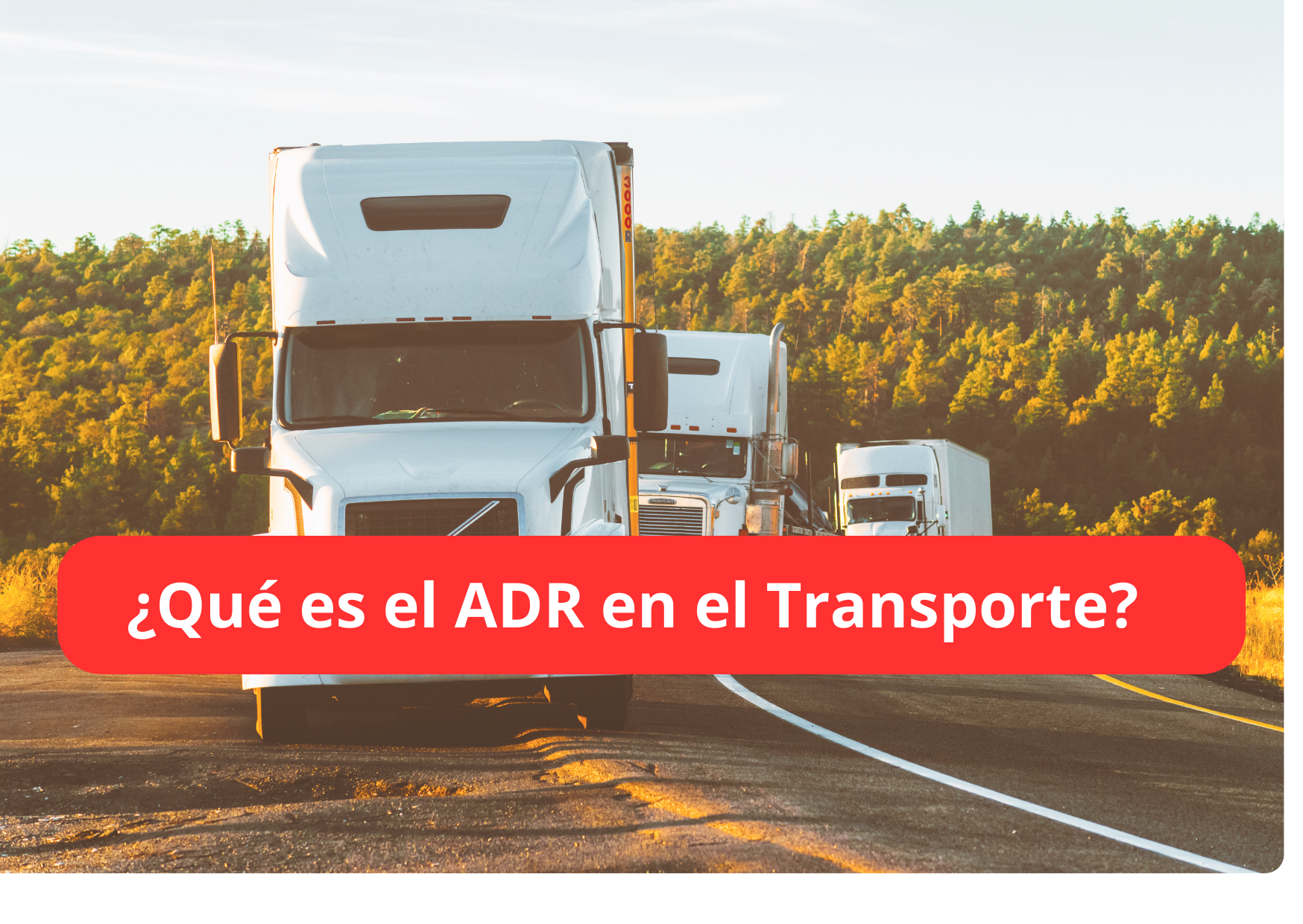 que es el adr en el transporte